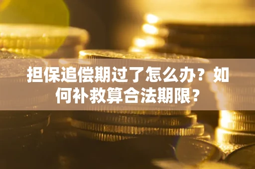 济南担保追偿期过了怎么办？如何补救算合法期限？